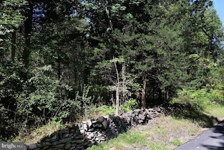 81 Upper Creek Rd, Stockton, NJ 08559