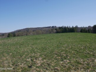 0 Bell Mountain Rd, Clifford Township, PA 18407