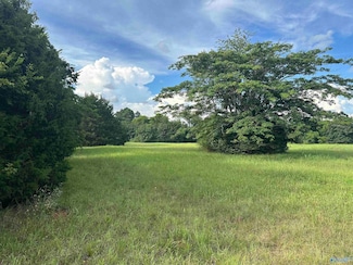 8.9 Acres U S Highway 31, Athens, AL 35611