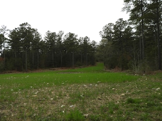 0 Bunch Mountain Rd NW Unit 5610503, Adairsville, GA 30103
