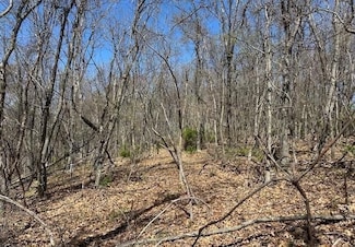 0 Pear Ln Unit 23159985, Romney, WV 26757