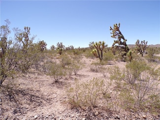 Lot 15 N Kingman Dr, Dolan Springs, AZ 86441