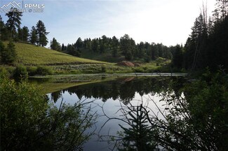 4195 Cedar Mountain Rd, Divide, CO 80814
