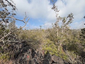 0 Tiki Ln Unit 717551, Ocean View, HI 96737