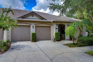 6801 Lockington Ct, Tampa, FL 33625