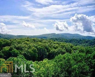 0 Brown Mountain Rd Unit 10424867, Flats, NC 28775