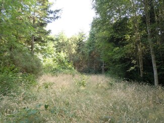 0 Lot C Lofall Rd Unit 813199, Poulsbo, WA 98370