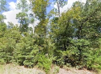 Plantation Cir, Marianna, FL 32446