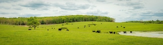11205 Claxton Rd, Falcon, MO 65470