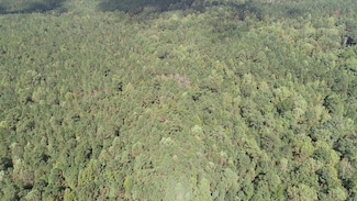 0 Brooksville Rd, Louisville, MS 39339