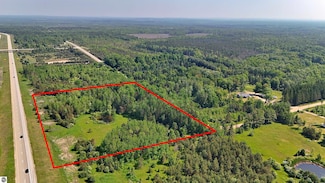 00 N 43 1 2 Rd, Manton, MI 49663