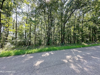 0 Lakeridge Ln Unit 4130729, Clinton, MS 39056