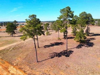 Lot 85 Lakeland Ranch, Hillister, TX 77624