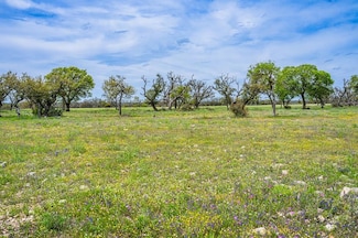 Lot 18 Goose Landing Way Unit 113, Harper, TX 78631