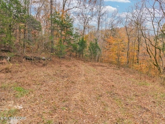 0 Ensor Hollow Rd, Buffalo Valley, TN 38548