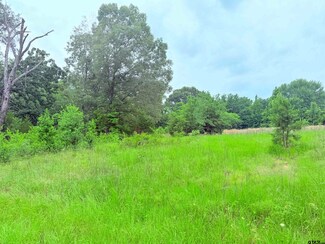 TBD County Road 3513, Brownsboro, TX 75756