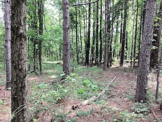 0 Tollett Rd Unit 23668378, New Hope, AR 71852