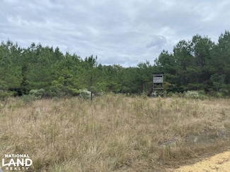 0 Nova Jean Rd, Fordyce, AR 71652