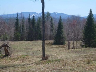 Lots 2 & 3 North Rd, Danbury, NH 03230