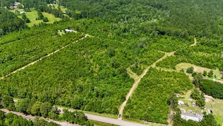 20 Acres Peps Point Rd, Hattiesburg, MS 39401