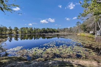 354 Spring Mist Ct, Lexington, SC 29072