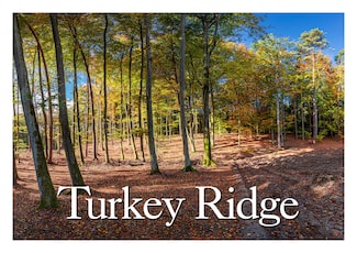 592 Minor Bridge Rd, Ashland, MS 38603