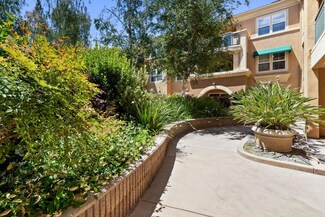 1310 Saddle Rack St Unit 218, San Jose, CA 95126