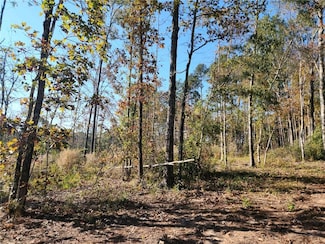 Tract 2 Deer Creek Rd, Natchitoches, LA 71457
