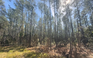 TBD NE 22nd Ln, Hawthorne, FL 32640