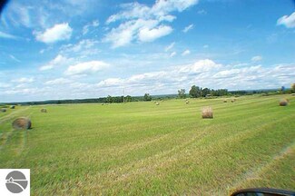 Parcel 4 Clearview, Rose City, MI 48654
