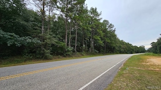 6.5 Acres Bill Deloney Rd, Ozark, AL 36360