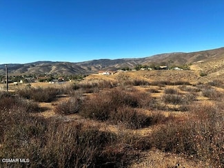 0 Vacant Corner Mills Av Michael St Unit 224001131, Acton, CA 93510