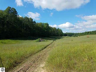 00 25 Rd, Mesick, MI 49668
