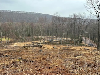 0 Back Rd Unit 749069, Ryan Township, PA 18214