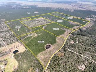 0 County Road 4415, Spurger, TX 75979