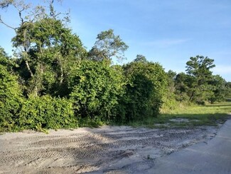 TBD Sequoia Trail Track, Ocklawaha, FL 32179