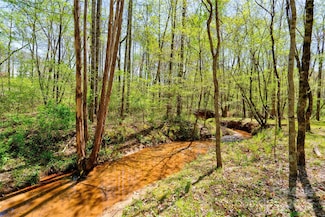 0 Taylor Rd, Rutherfordton, NC 28139