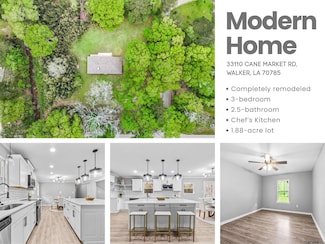 33110 Cane Market Rd, Walker, LA 70785