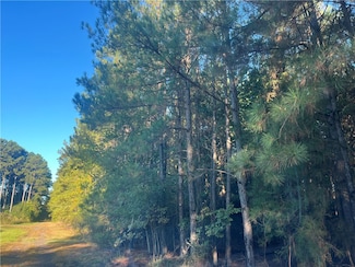 0 Pottsville Unit 1326054, Pottsville, AR 72858