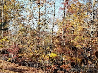 TBD Top Oaks Ln Unit Lot 58, Pisgah Forest, NC 28768