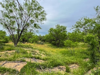 1570 Cr383 Rd, Woodson, TX 76491