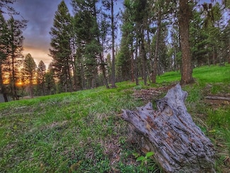 289 Seclusion Point, Seeley Lake, MT 59868