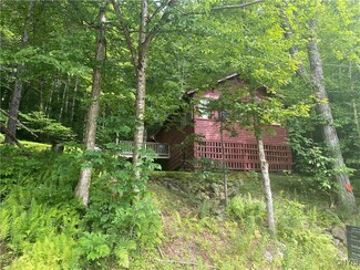 329 Mohawk Dr E, Old Forge, NY 13420