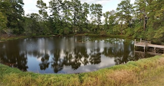 12039 Amberwood Dr, Montgomery, TX 77356