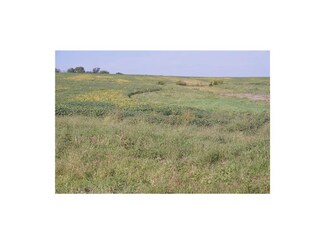 NE 110th Rd, Easton, MO 64443
