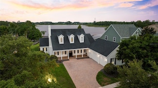 6113 Little Lake Sawyer Dr, Windermere, FL 34786