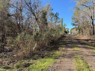 00 The Woods Rd, Coldspring, TX 77331