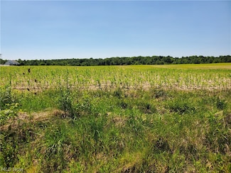 Parcel A Nash Rd, Middlefield, OH 44062
