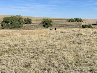 0 Parcels 1-12 County Road 109 Unit 21674348, Deer Trail, CO 80835