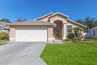7928 Fashion Loop, New Port Richey, FL 34654